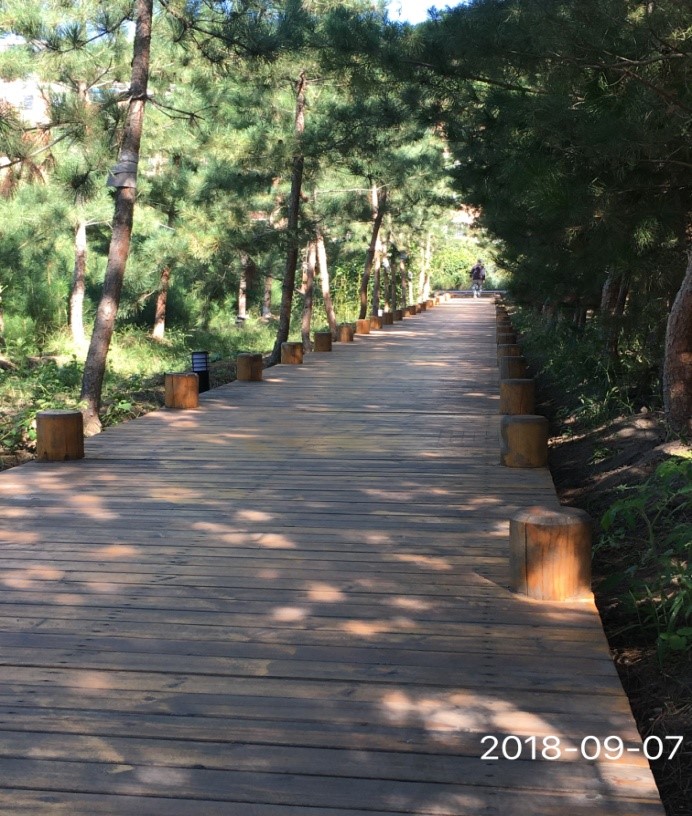 图2：白城市科普公园改造后一景