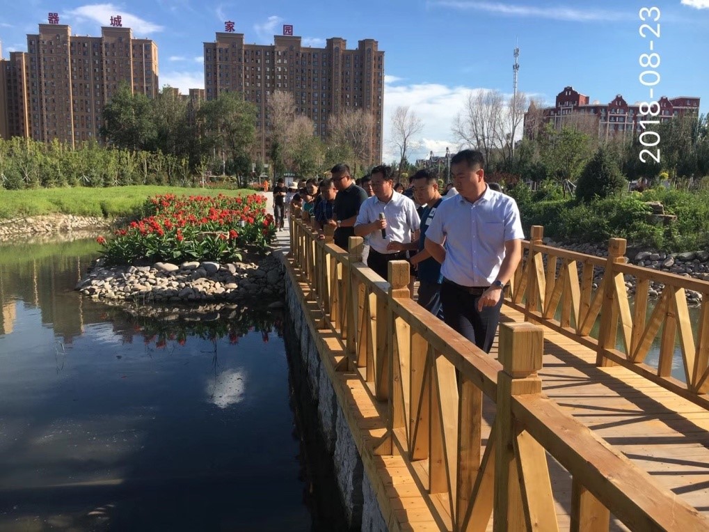 图5：政府领导现场考察