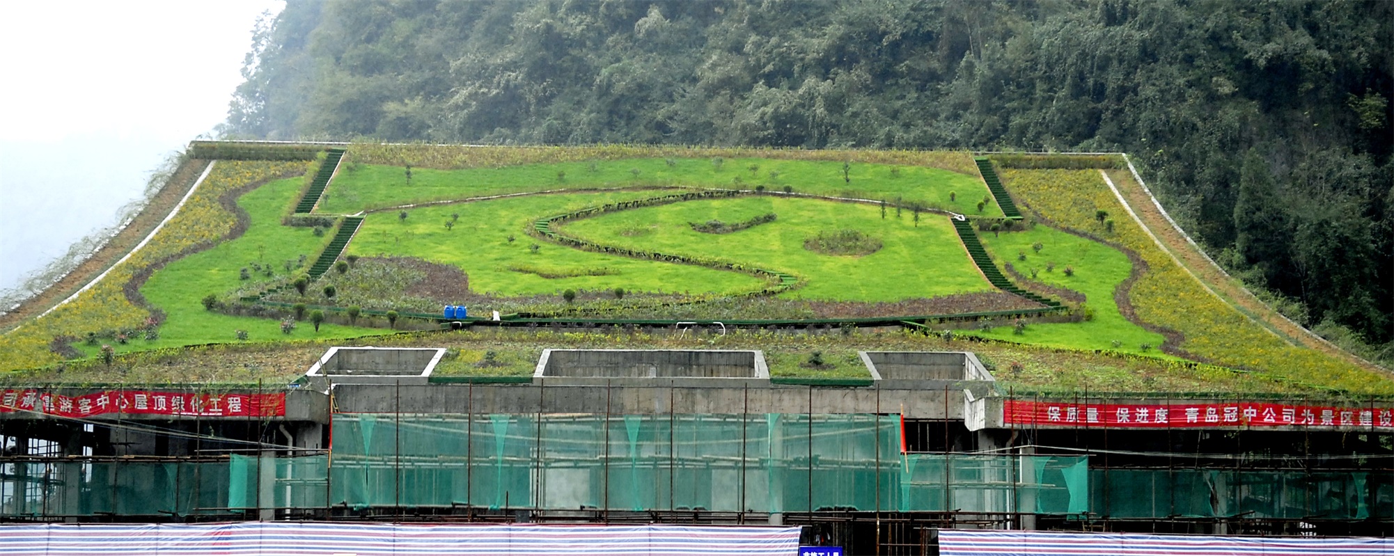 图：音乐厅斜坡面屋顶绿化5个月后