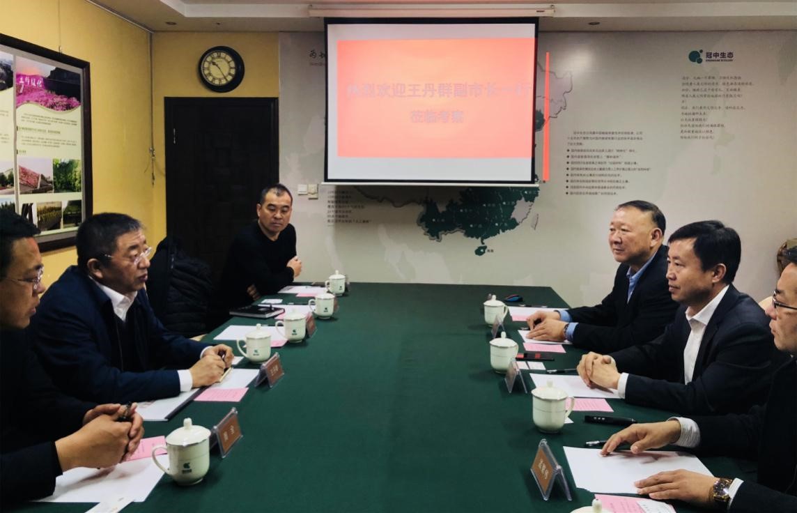 图一：鞍山市副市长王丹群一行7人莅临我司考察