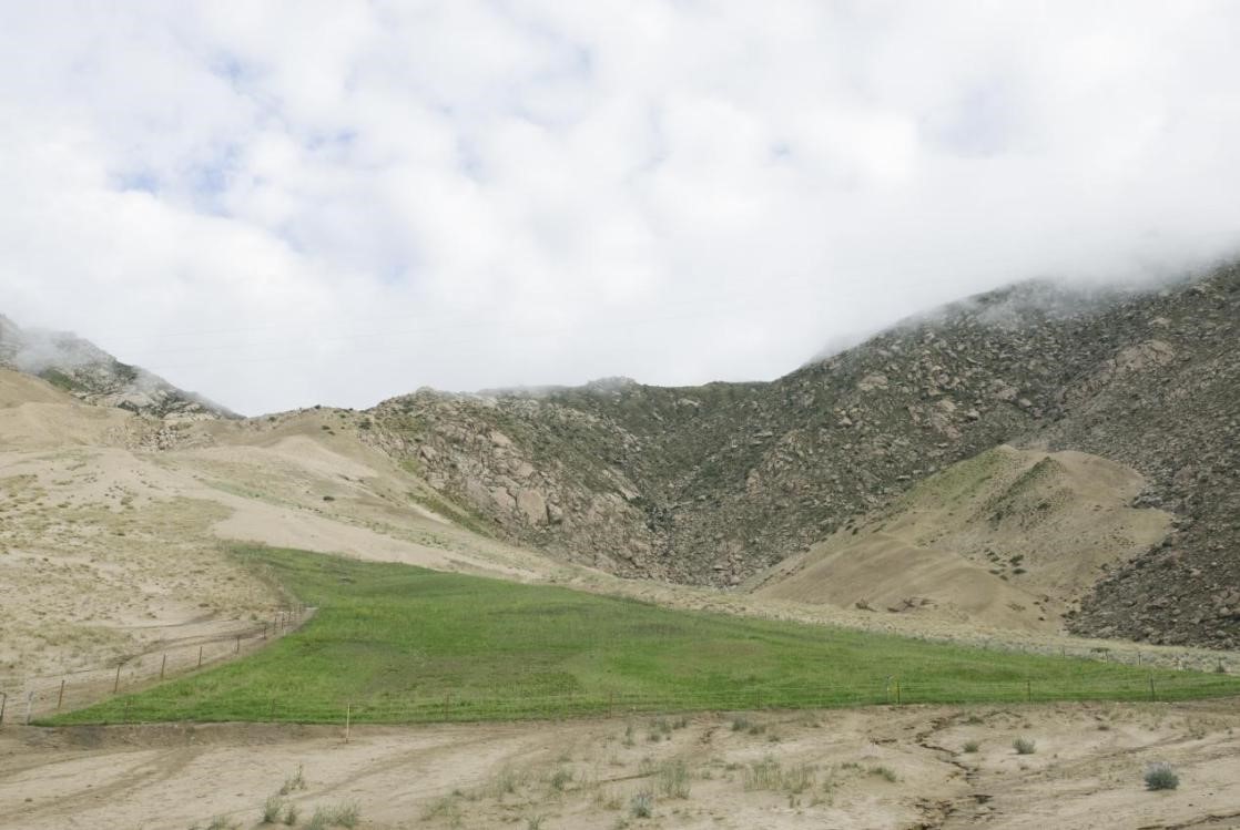 现场图4：项目完工后水土流失对比