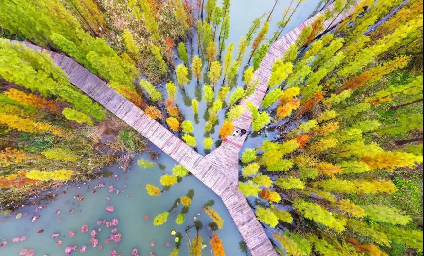 变“黑臭水体”为“水韵泉城”