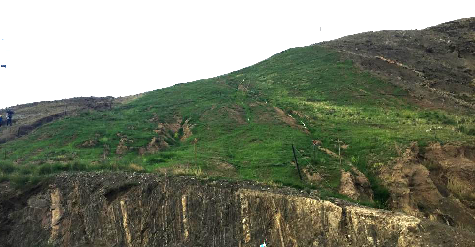 日喀则荒山恢复后