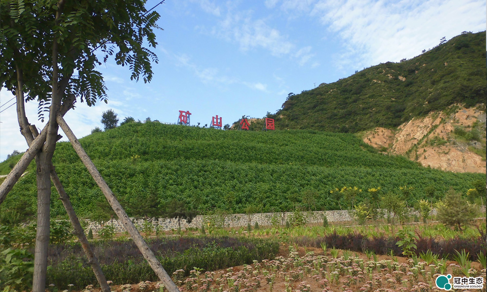 北京首云渣土场修复后