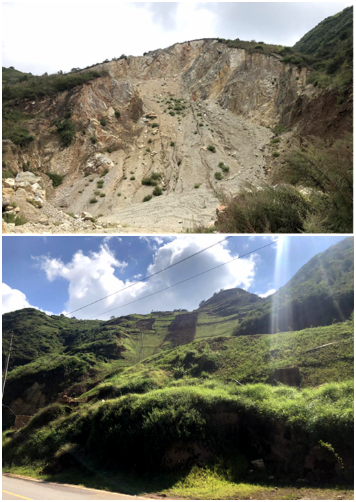 挖色镇鑫海清修复