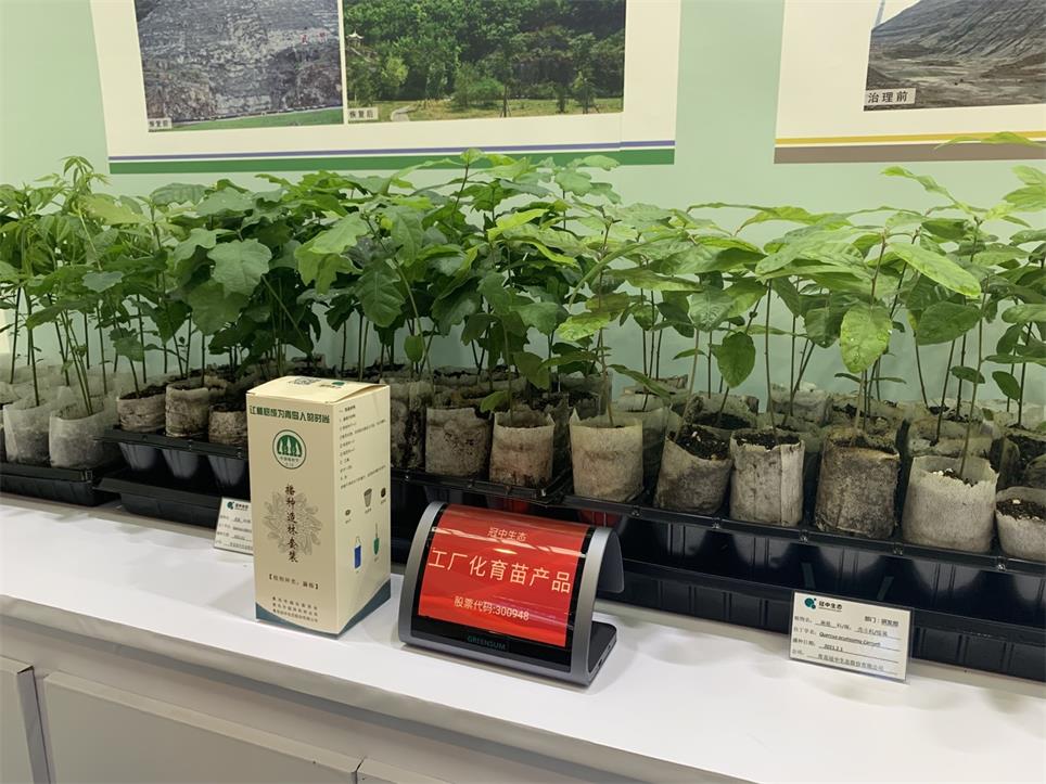 工厂化育苗产品