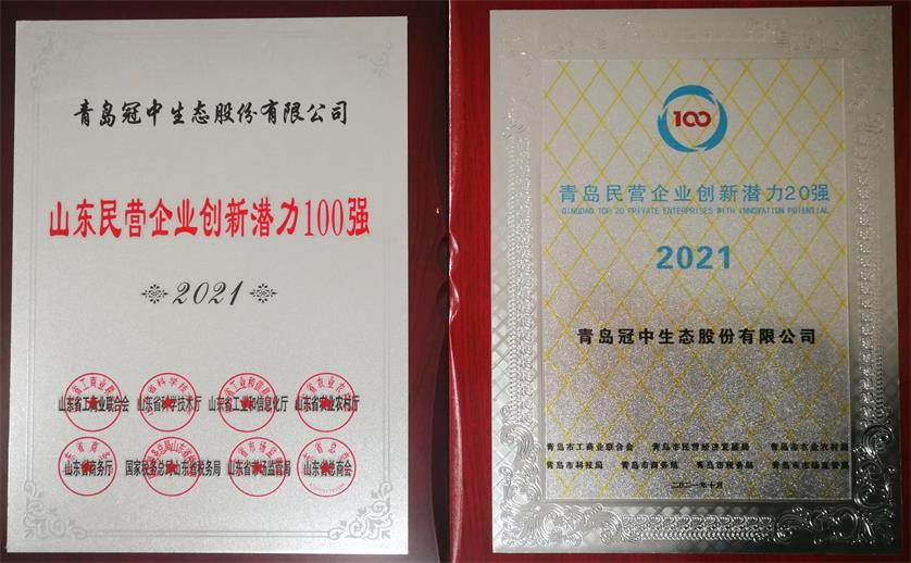 2021山东民营企业创新潜力100强