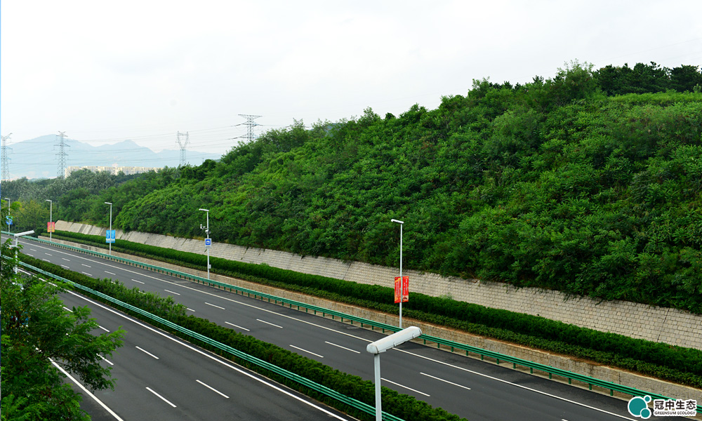 山体修复效果图