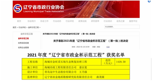 辽宁省市政金杯示范工程