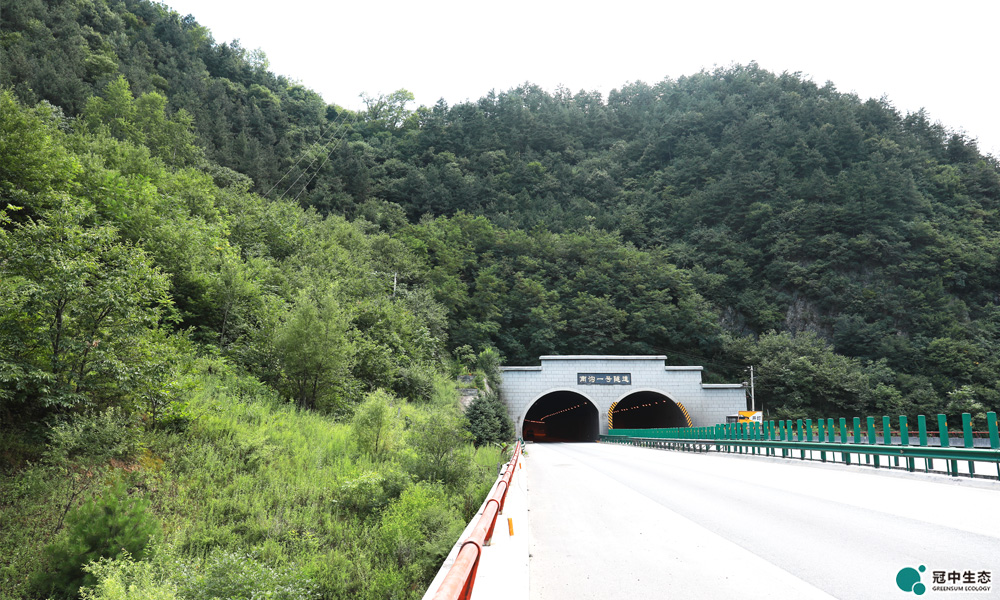 高速公路边坡修复