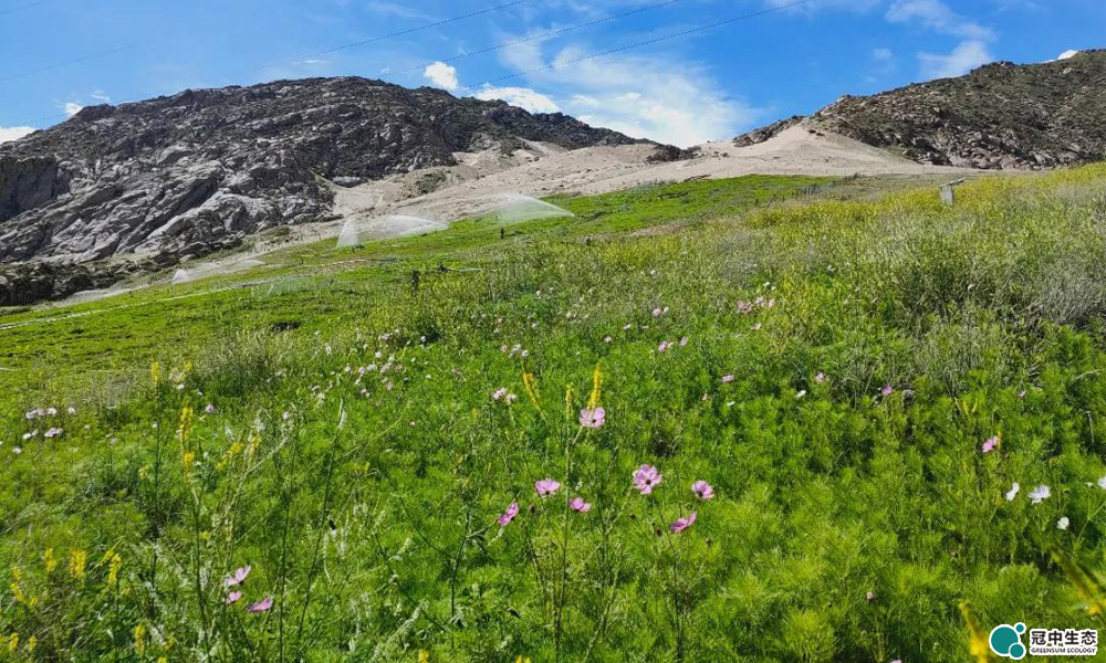 拉萨空港新区修复后