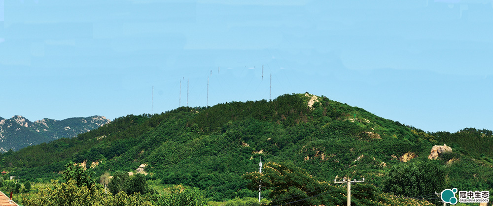 冠中生态矿山修复项目