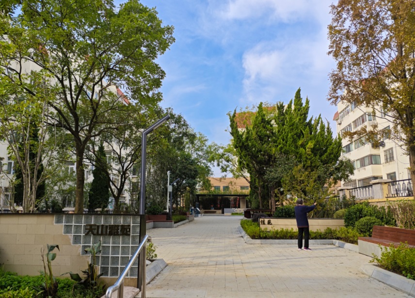 市南品质提升项目